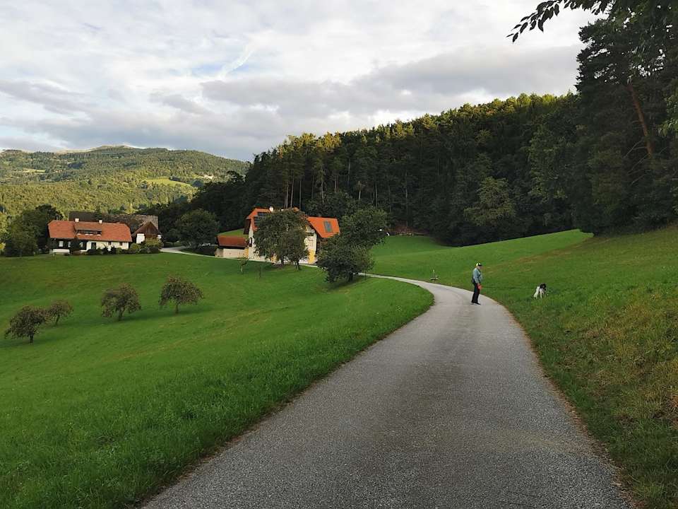 Ausblick Hotel & Kinderparadies Michlhof