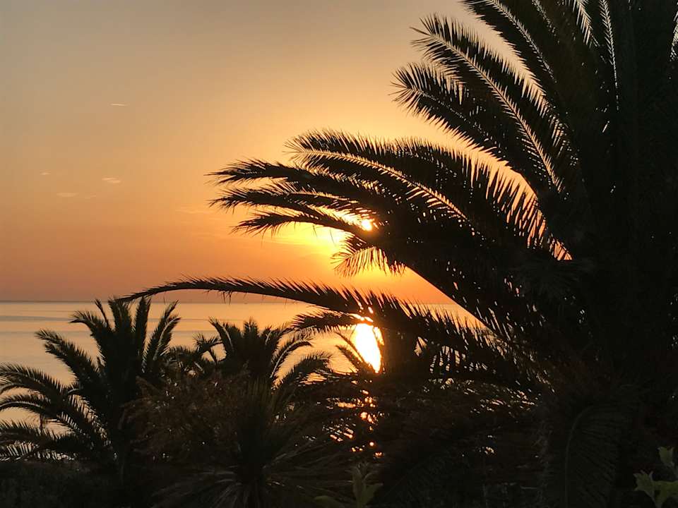 Ausblick Hotel Ambasciatori