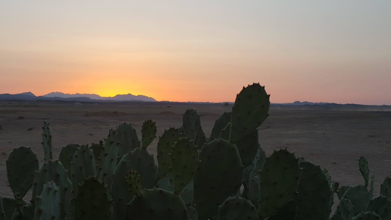 Sonnenuntergang Three Corners Sea Beach Resort