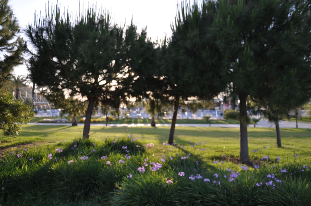 Garten Aqua Fantasy Aquapark Hotel & Spa