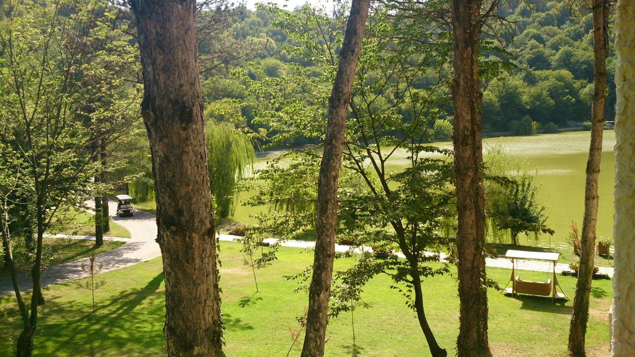 View from my balcony Lopota Lake Resort & Spa