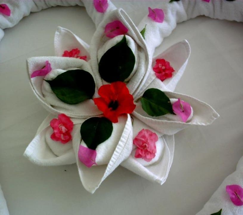 Hotel Lotus Bay Lotus Bay Beach Resort