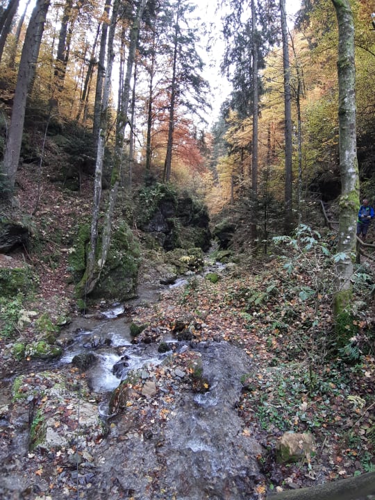 Ausblick Der Trattner - Hotel Trattnerhof & Hotel Schöcklblick