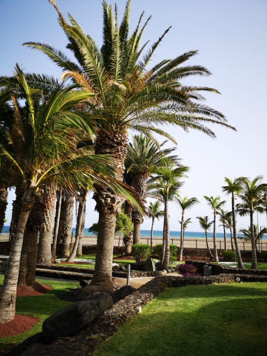 Ausblick Hipotels La Geria