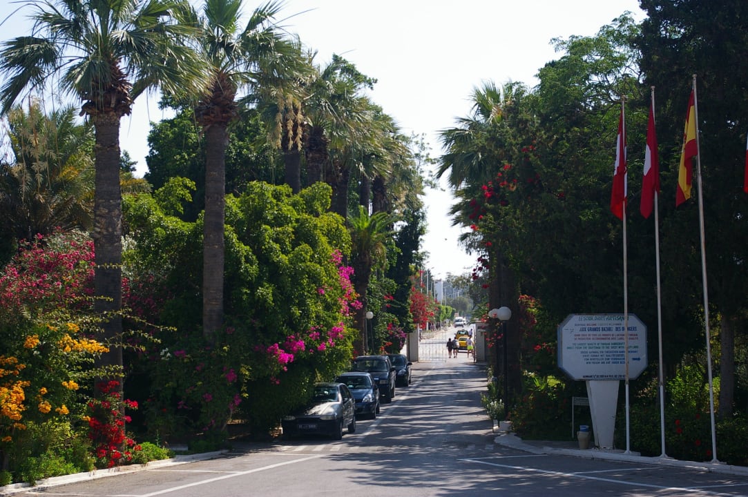 Einfahrt The Orangers Beach Resort and Bungalows
