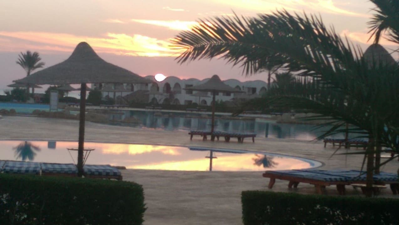 Pool am morgen früh Hotel Gorgonia Beach Resort