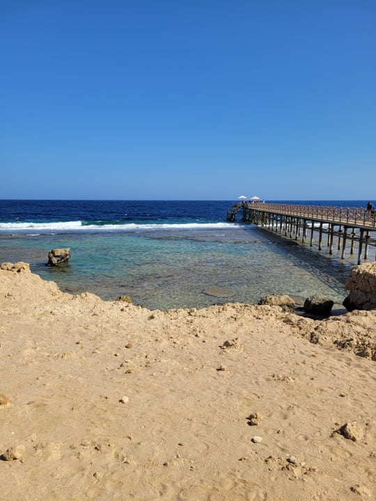 Strand Steigenberger Resort Alaya Marsa Alam - Red Sea - Adults only