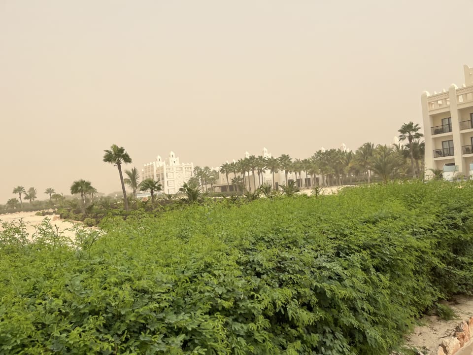 Gartenanlage Hotel Riu Karamboa