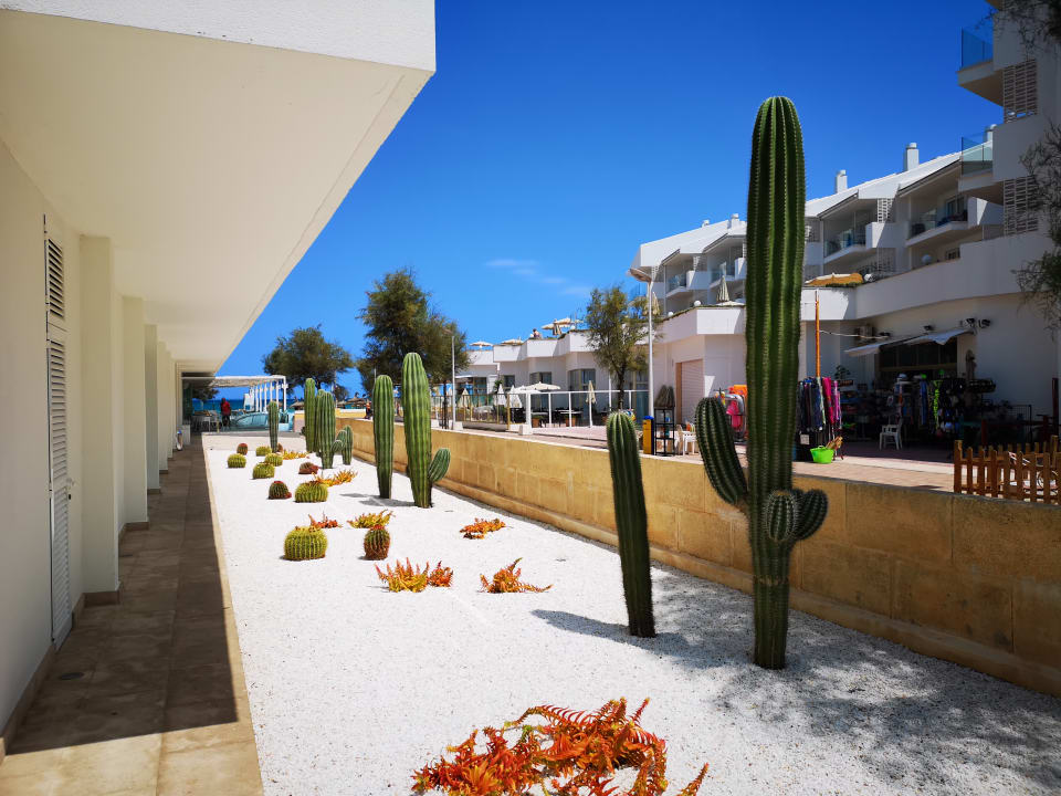 Außenansicht The Sea Hotel by Grupotel - Adults only