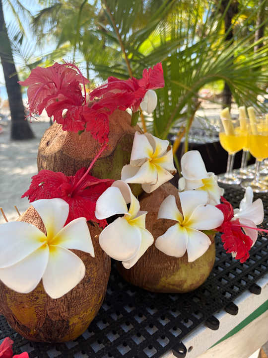 Gastro Hotel Riu Jambo