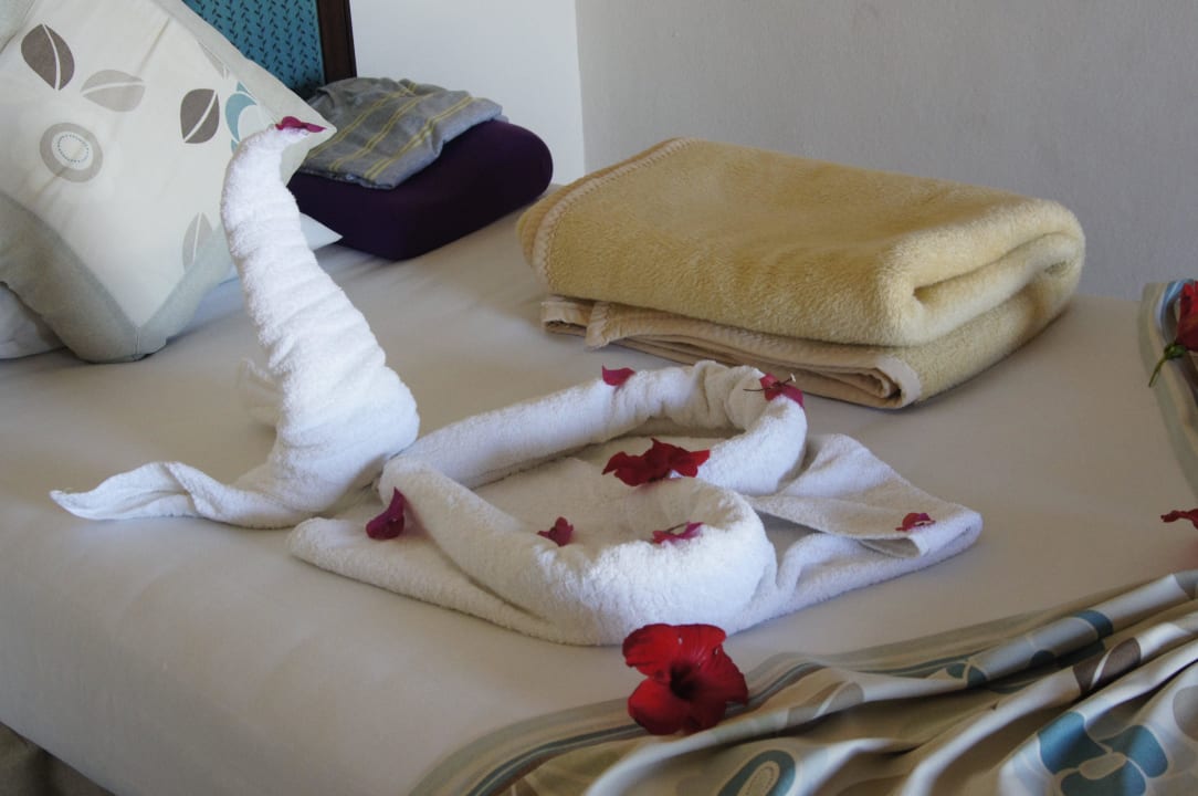 Ein Traum von Dekorationen Pickalbatros Citadel Resort