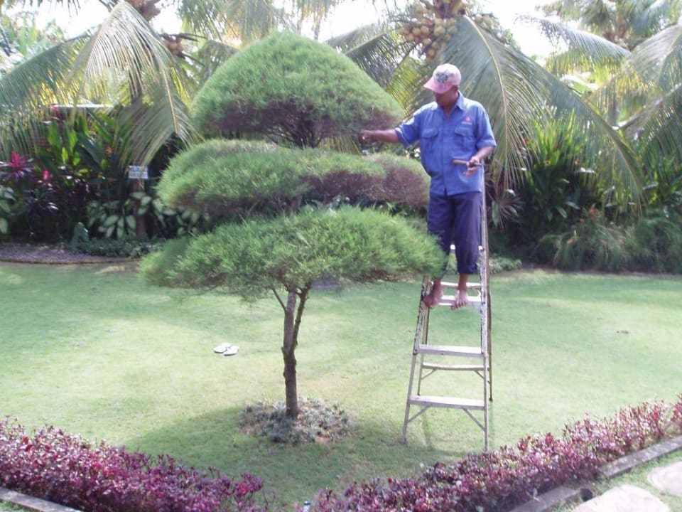 Garden Hotel Candikusuma Beach Villas