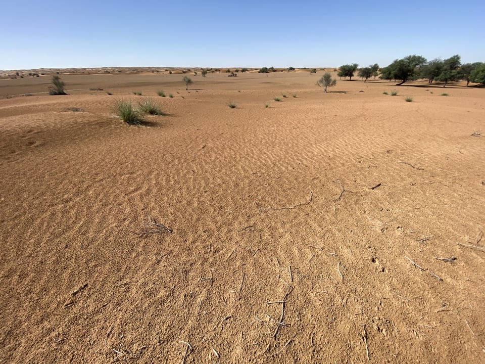 Sonstiges Al Maha, A Luxury Collection Desert Resort & Spa