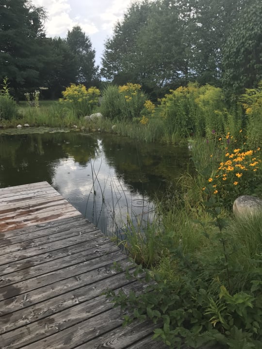 Gartenanlage Komfort Appartements Zirbenland