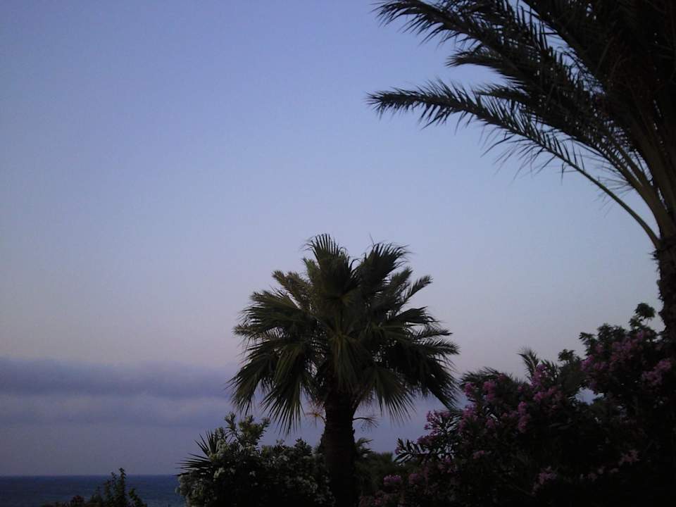 AM ABEND Crystal Springs Beach Hotel