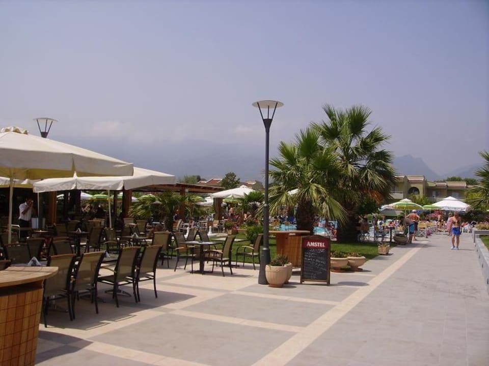 Poolbar alltoura Club Hotel Poseidon Palace