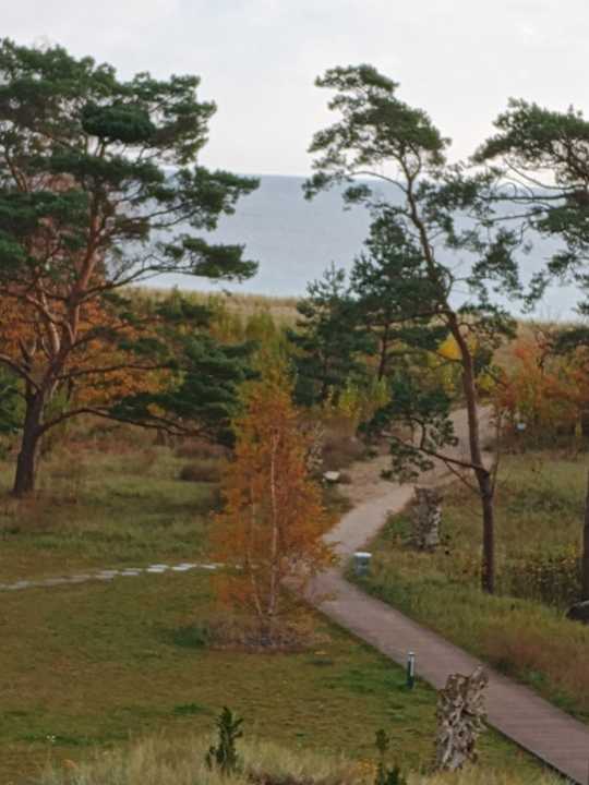 Zimmer Santé Royale Rügen Resort