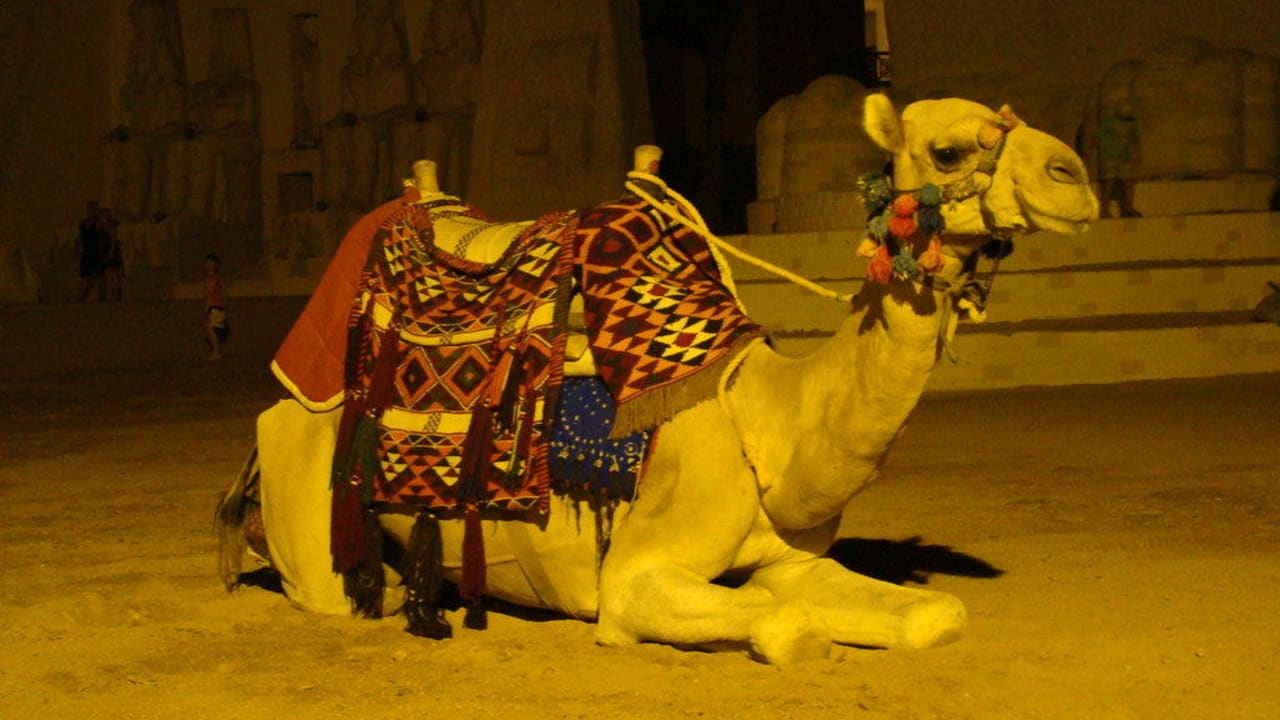 Микки Маус Pickalbatros Alf Leila Wa Leila Resort - Neverland Hurghada