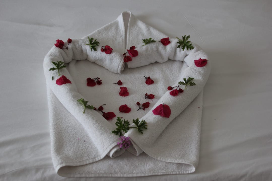 Zimmer TUI MAGIC LIFE Africana