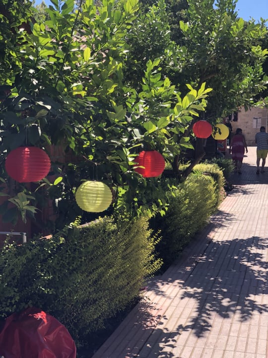 Gartenanlage Can Garden Beach