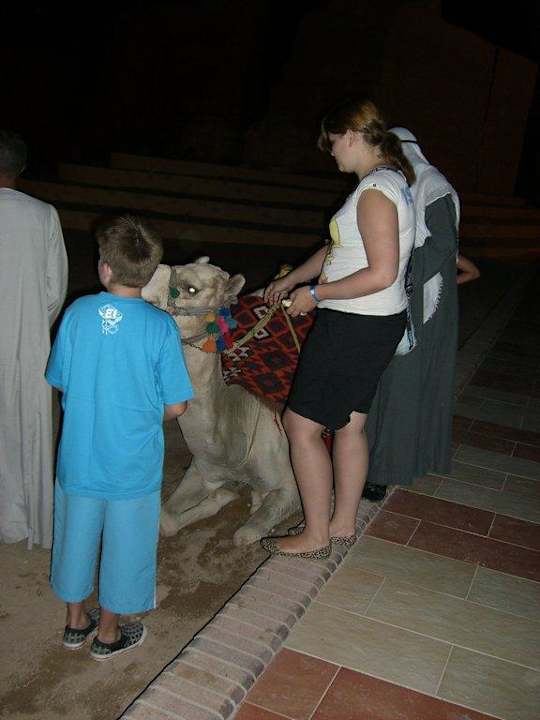 Vor der Abendshow im Hotel Pickalbatros Alf Leila Wa Leila Resort - Neverland Hurghada