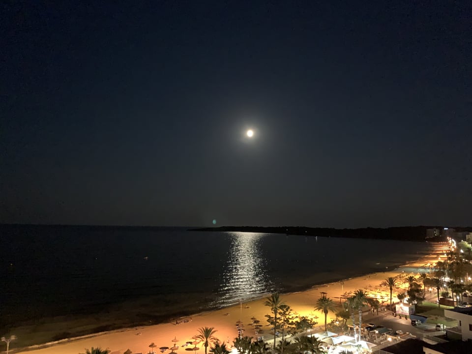 Gastro CM Playa del Moro