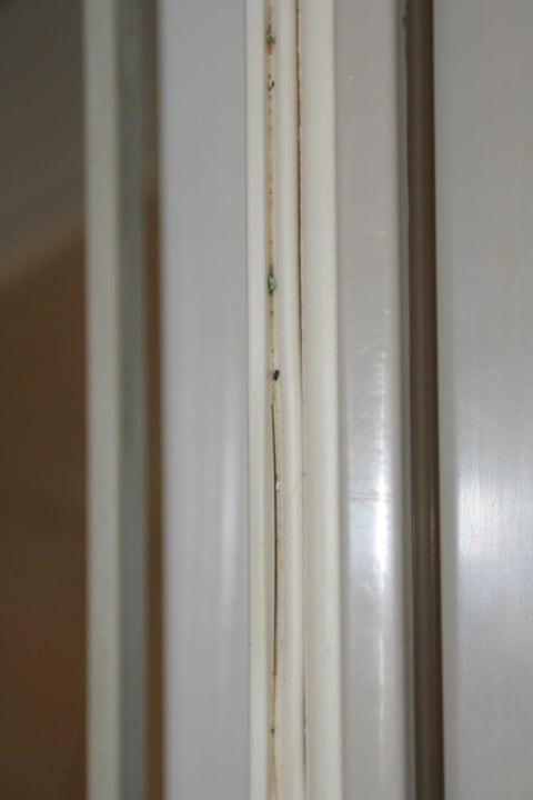 Kühlschrankdichtung Lauderdale Beachside Hotel