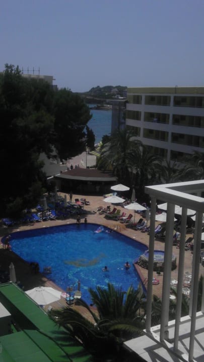 Ausblick zum Pool Moon Dreams Coral Beach