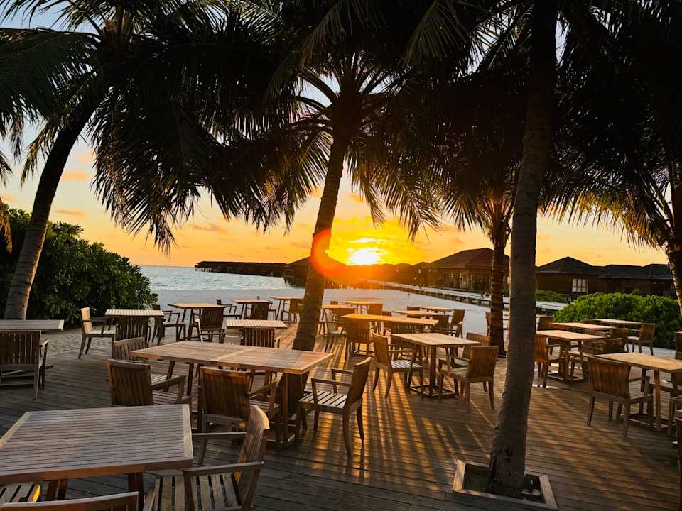 Gastro Vilamendhoo Island Resort & Spa