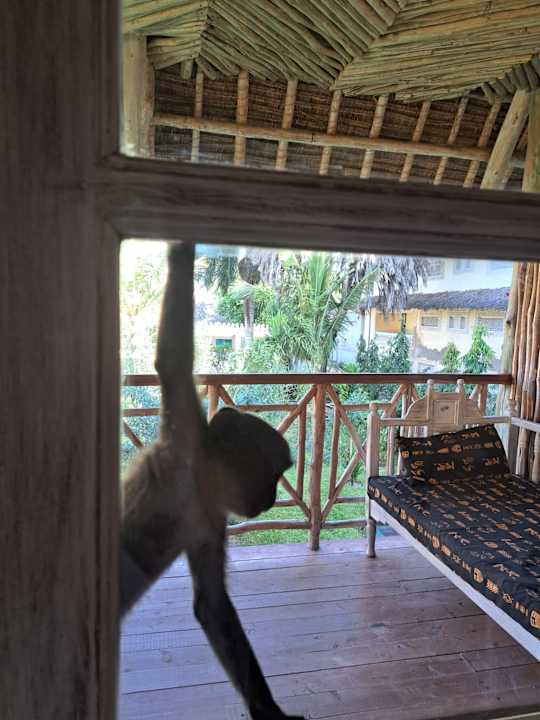 Außenansicht Neptune Palm Beach Boutique Resort & Spa