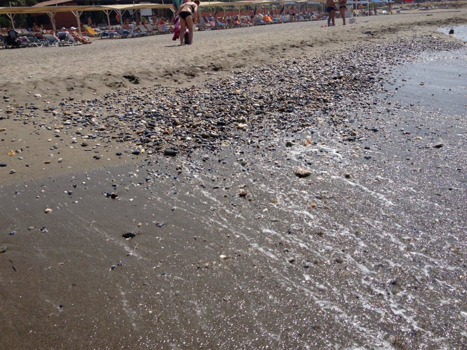 Strand mit Kies Club Turtas Beach Hotel