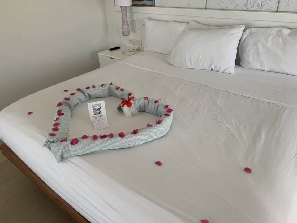 Zimmer Iberostar Selection Coral Bávaro