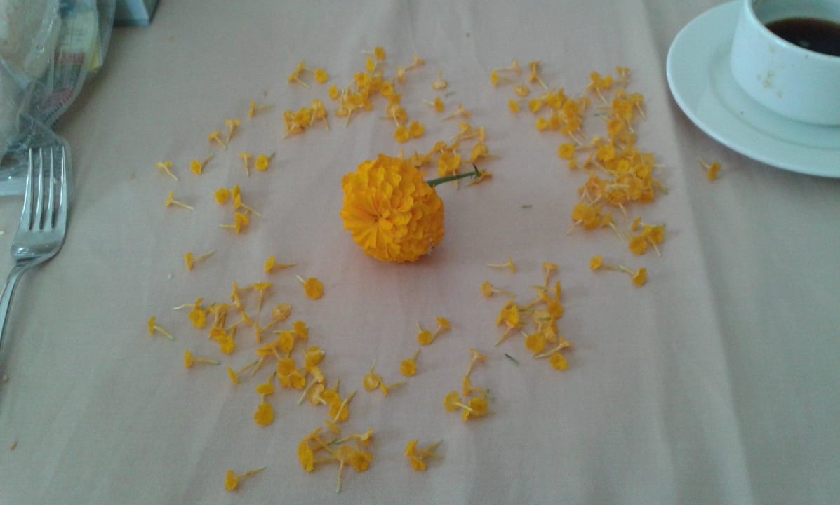 Zum Geburtstag vom Kellner  Dizalya Palm Garden