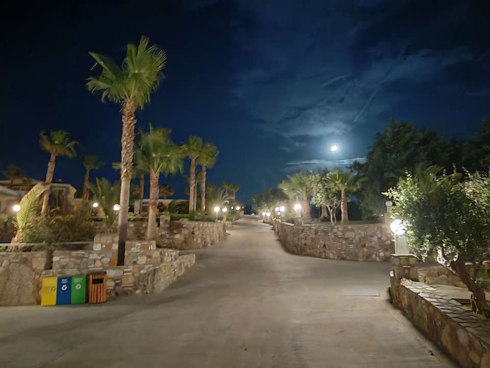 Gartenanlage Hotel Kouros Palace