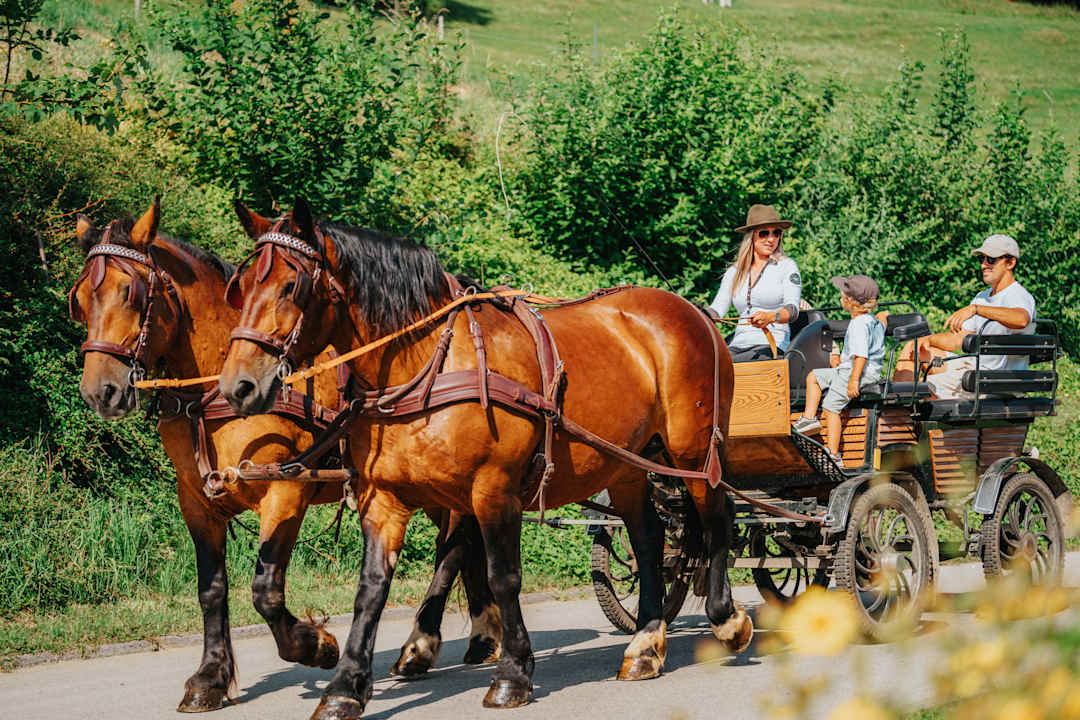 Sport & Freizeit Familien Resort Petschnighof - Familotel Kärnten
