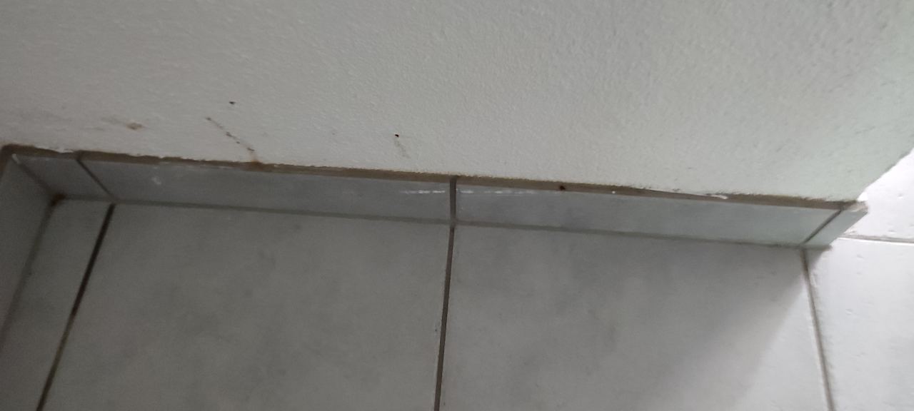 Zimmer Haus Herzogenhorn