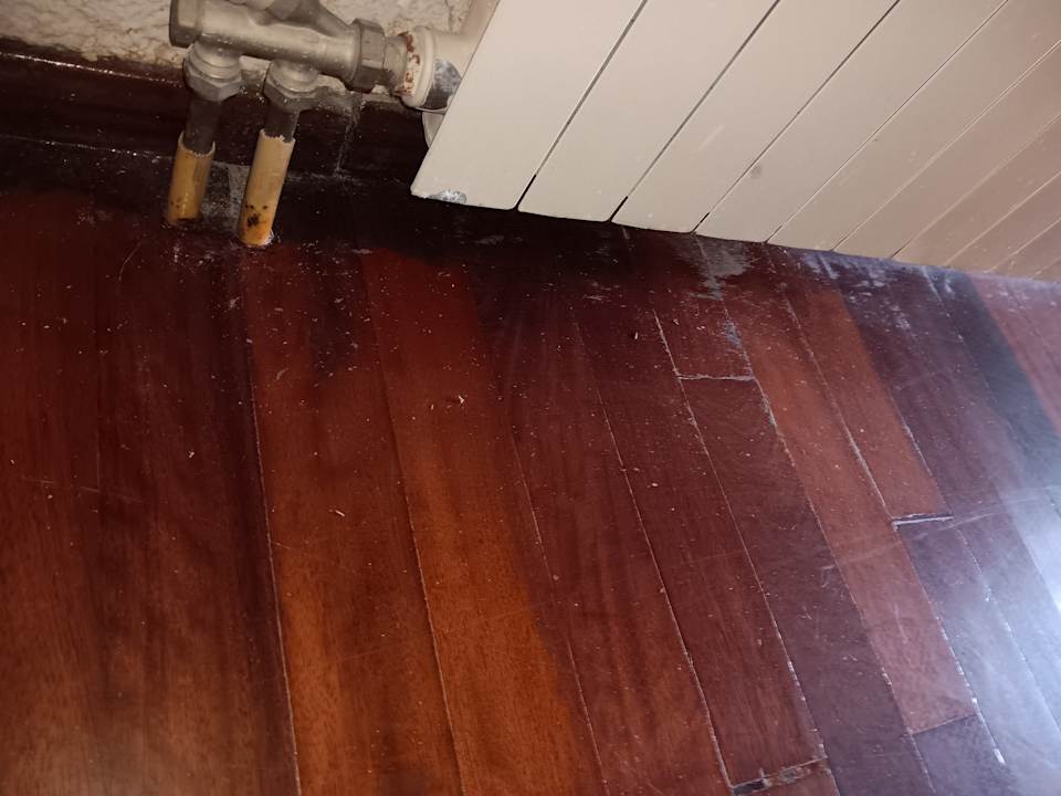 Zimmer Hotel Albatros