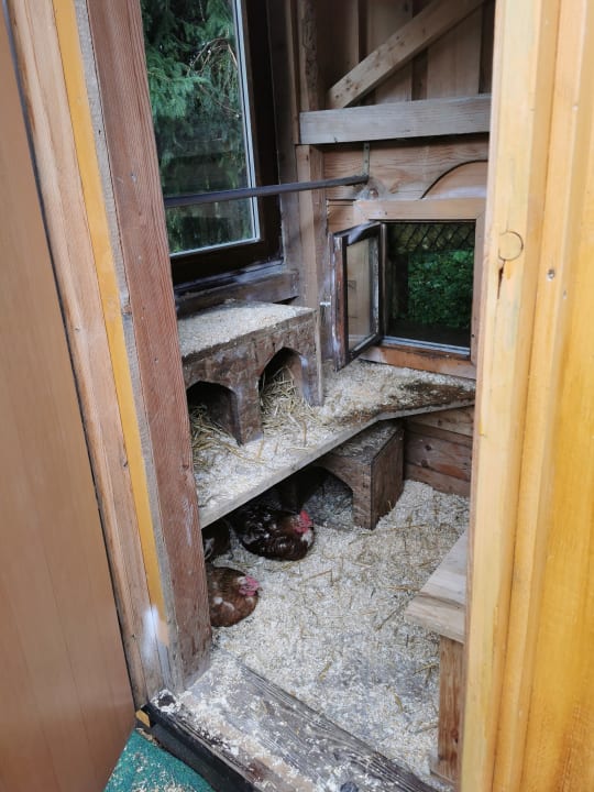 Sonstiges Familienhotel Botenwirt