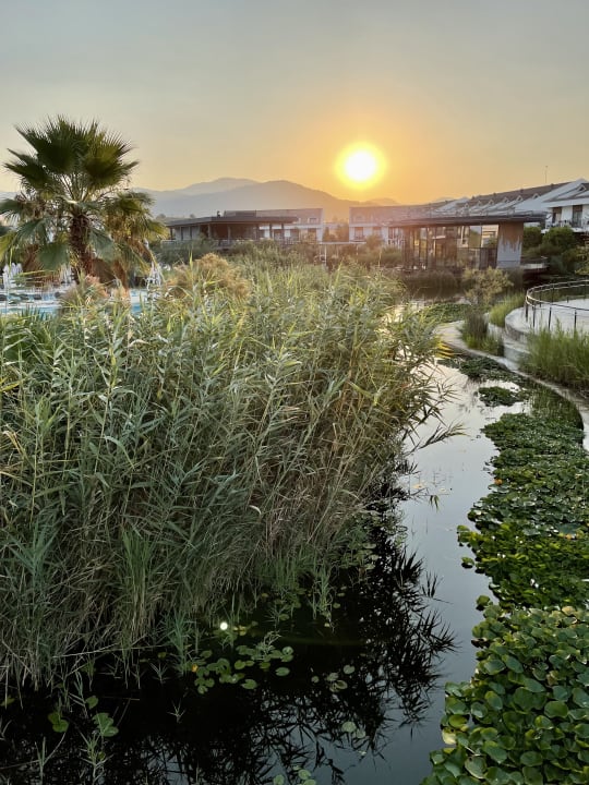 Gartenanlage Jiva Beach Resort