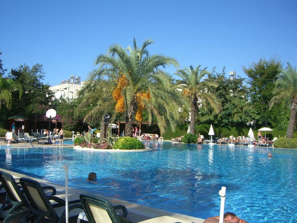 Pool Side Star Elegance