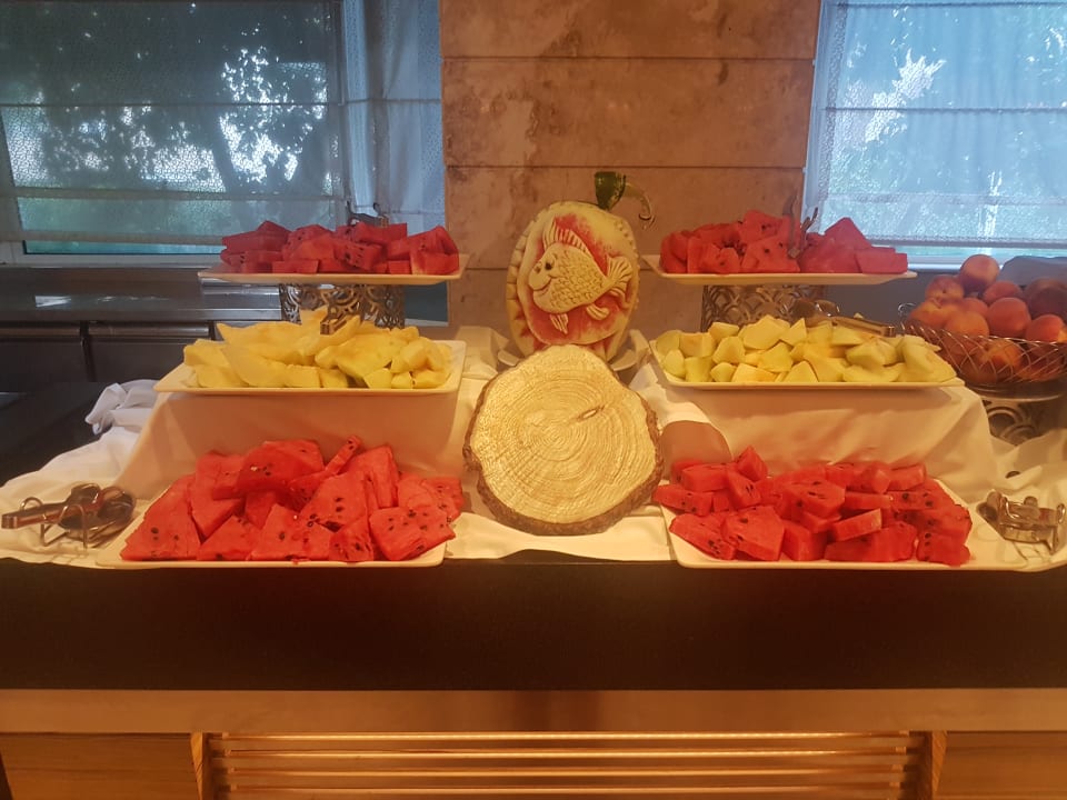 Gastro Papillon Ayscha