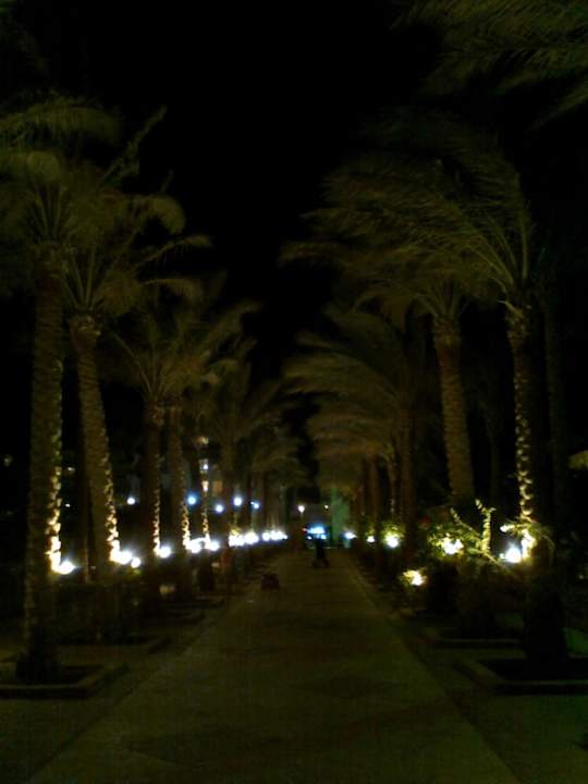 Аллея Riviera Aqua Park Resort