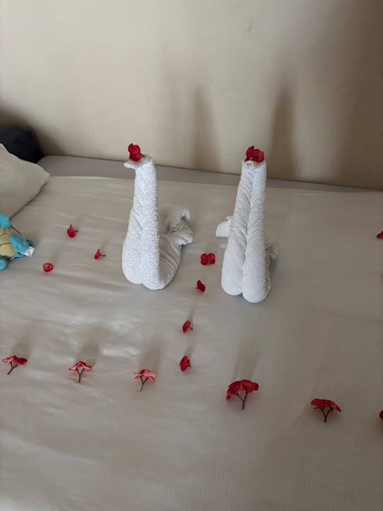 Zimmer Pickalbatros Citadel Resort