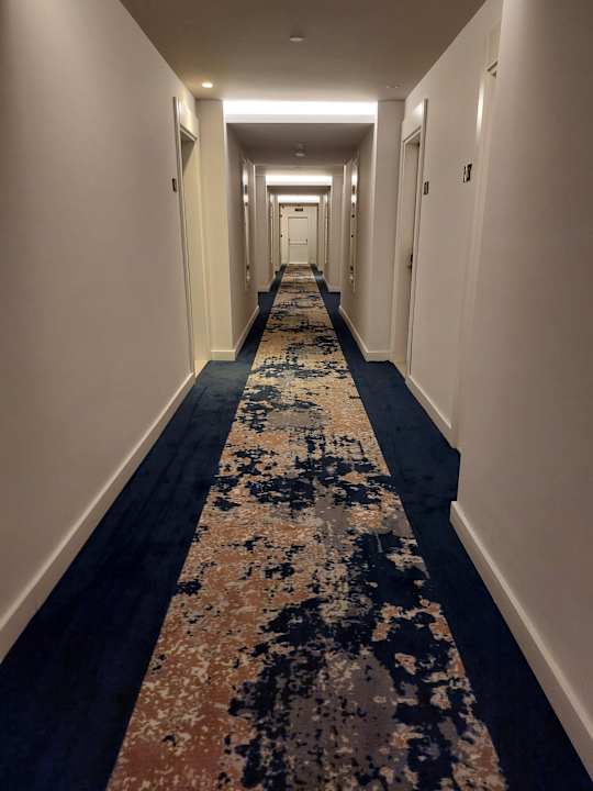 Zimmer Seashell Vega