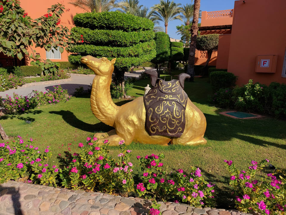 Sonstiges Jaz Makadi Blue - TUI BLUE Makadi - Adults Friendly 16 Years Plus