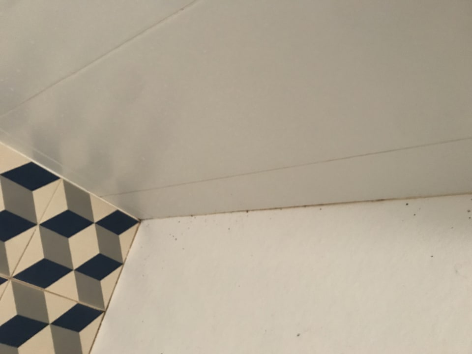 Zimmer FERGUS Club Pineda Splash