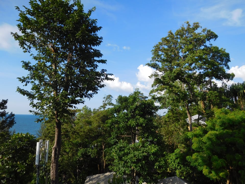 Ausblick Moracea by Khao Lak Resort