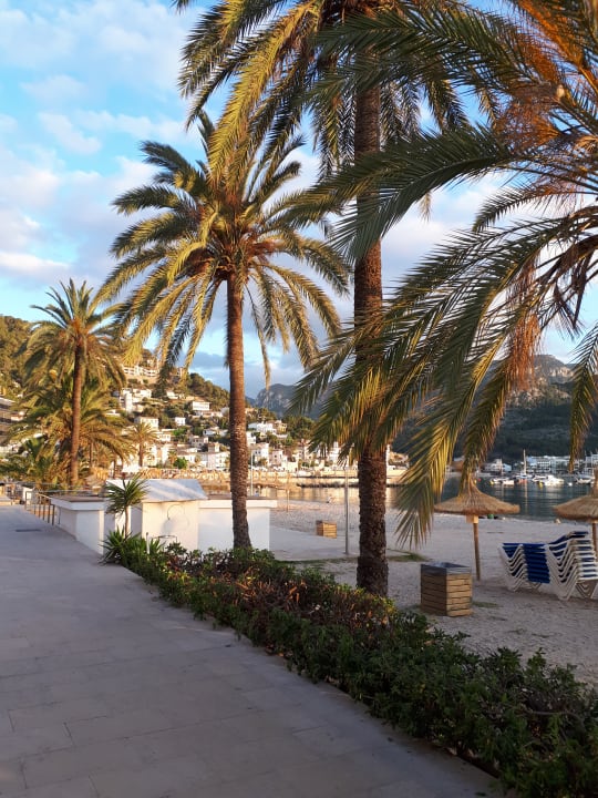 Außenansicht Hotel Eden Soller