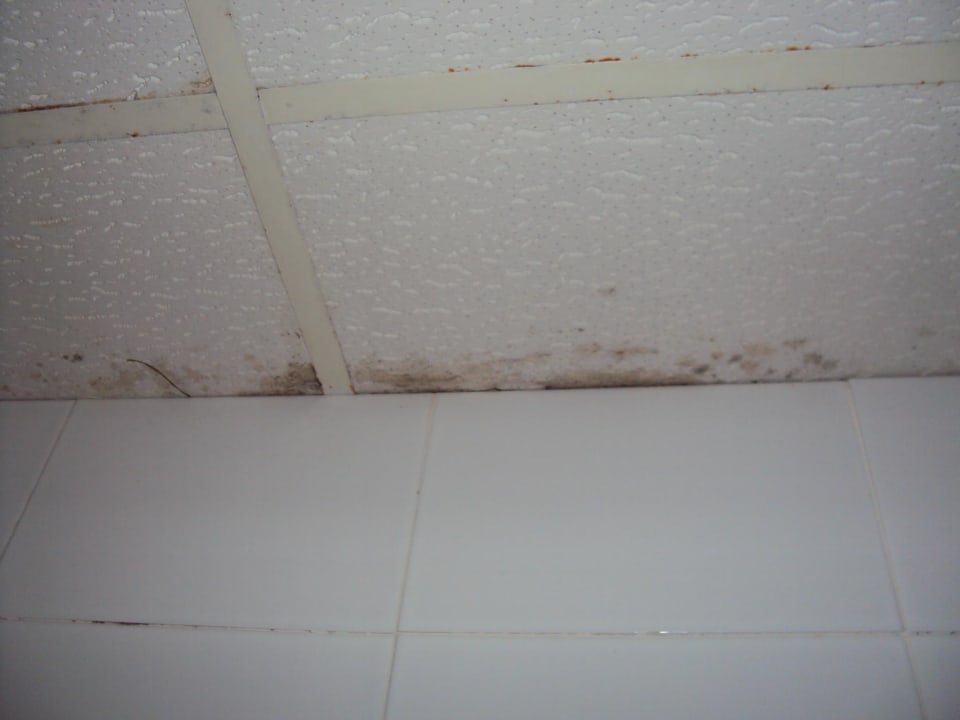 Schimmel und Rost BelleVue Club