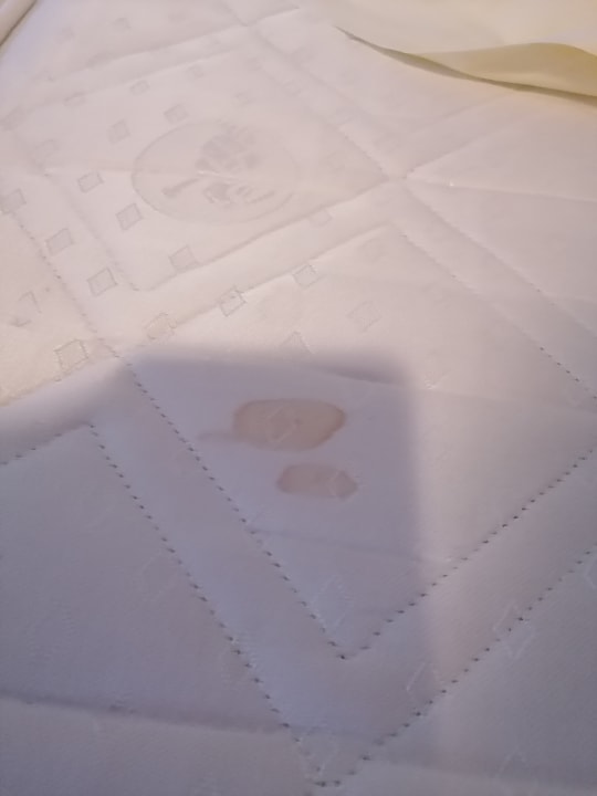 Zimmer Landhotel Harz